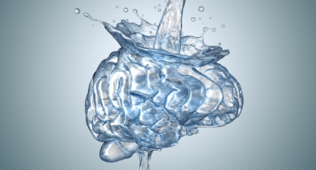 Obsah vody v lidském mozku