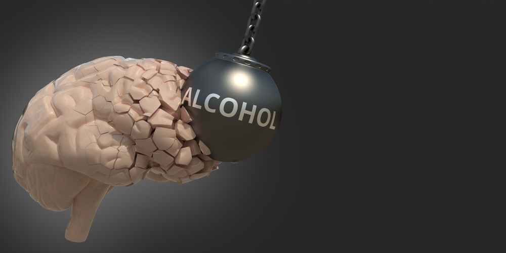 Mozek a alkohol