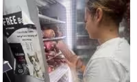 Karin Noemi Brezovar – Falco petshop, Malta
