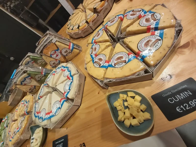 Výměnný pobyt Zwolle Holandsko