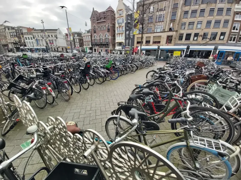 Výměnný pobyt Zwolle Holandsko